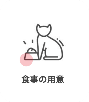 猫の食事の用意