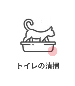 猫のトイレの清掃