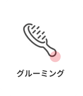 猫のグルーミング