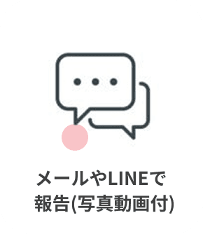 猫の様子をメールやLINEで報告