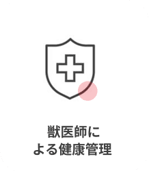 獣医師による猫管理