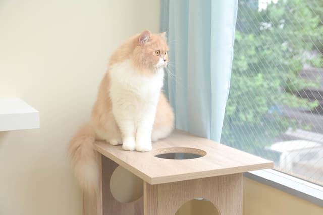窓付きの部屋