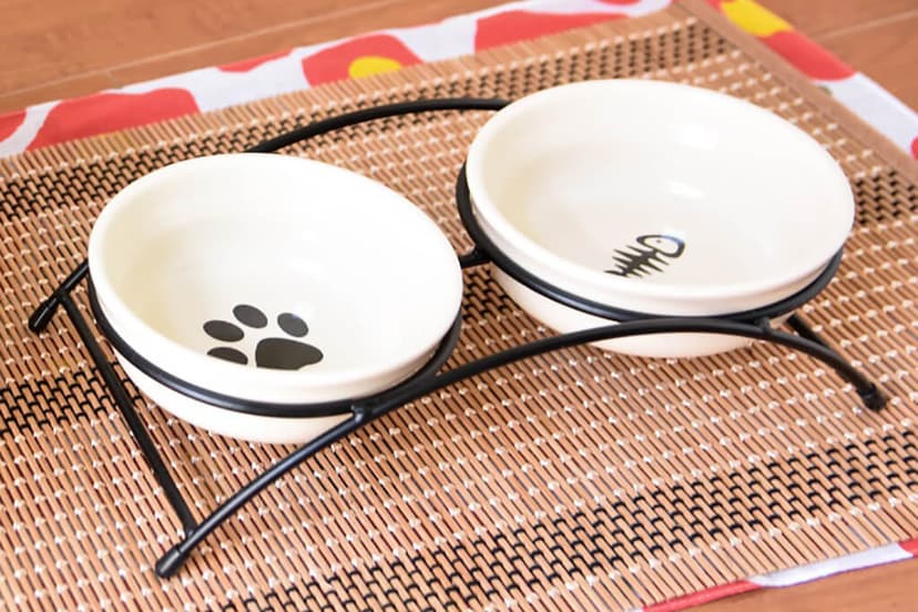 猫ちゃん用食器
