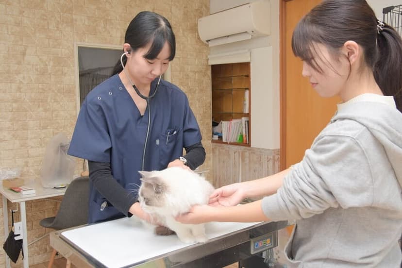 ねこ好きスタッフが健康ケア
