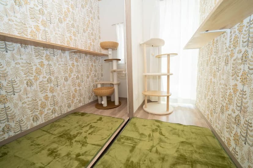 スイートルーム（窓あり）個室のお部屋