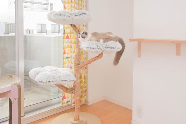 キャットタワー設置
