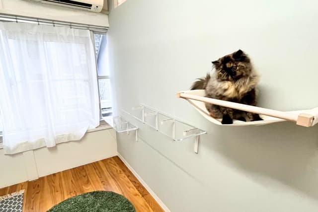 猫グッズ設置