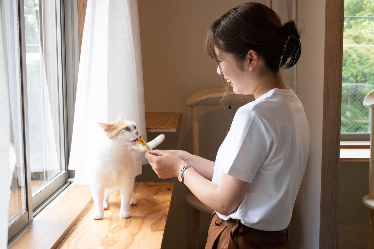 猫専門ペットホテルねこべやのお世話の仕方