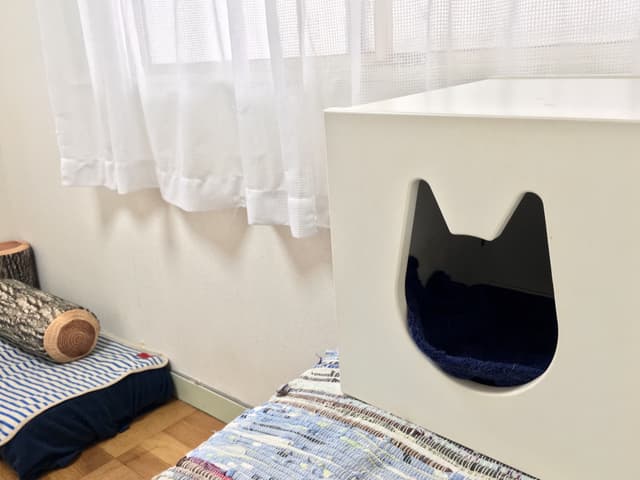 キャットハウス完備