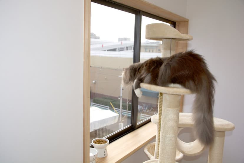 窓あり個室のお部屋