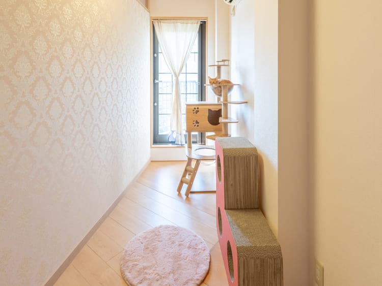 スイートルームのお部屋