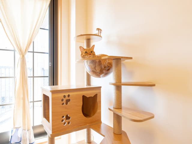 キャットタワー設置